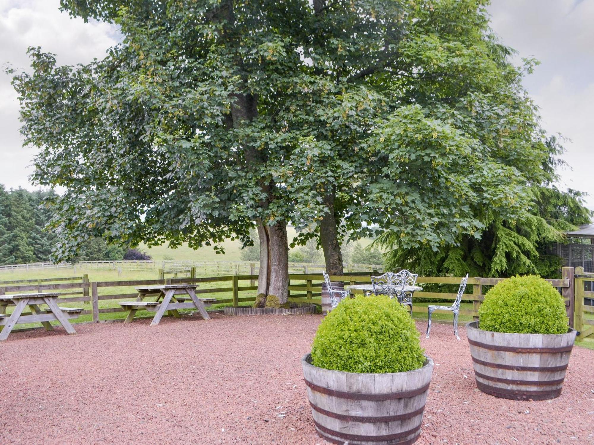 Piglet Cottage Elsdon Buitenkant foto